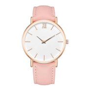 VelvetCharm Ladies' Frosted Quartz Watch