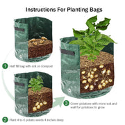 "VeggieGrow: Potato & Vegetable Grow Bags"Product Description:


 
 
 


 Grow your own fresh vegetables with ease using the
 
 VeggieGrow:
 
 Potato &amp; Vegetable Grow Bags. Designed for outdoor gardeningZIP UP EXPRESSGardenPotato & Vegetable Grow Bags"