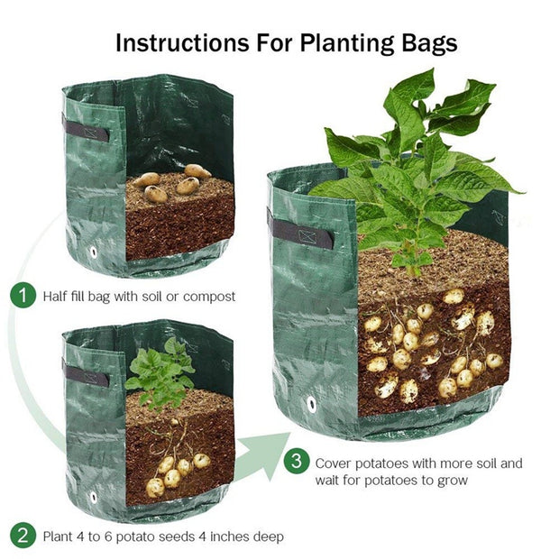 "VeggieGrow: Potato & Vegetable Grow Bags"Product Description:


 
 
 


 Grow your own fresh vegetables with ease using the
 
 VeggieGrow:
 
 Potato &amp; Vegetable Grow Bags. Designed for outdoor gardeningZIP UP EXPRESSGardenPotato & Vegetable Grow Bags"