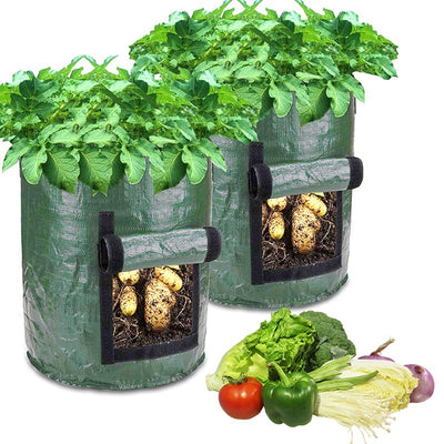 "VeggieGrow: Potato & Vegetable Grow Bags"Product Description:


 
 
 


 Grow your own fresh vegetables with ease using the
 
 VeggieGrow:
 
 Potato &amp; Vegetable Grow Bags. Designed for outdoor gardeningZIP UP EXPRESSGardenPotato & Vegetable Grow Bags"