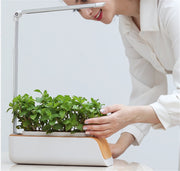 "GrowGlow: Smart Hydroponic Indoor Herb Garden Kit"**Product Description:** 


 
 
 


 Bring the joy of gardening indoors with the 
 
 **GrowGlow:
 
  Smart Hydroponic Indoor Herb Garden Kit**. This multifunctional ZIP UP EXPRESSGardenSmart Hydroponic Indoor Herb Garden Kit"