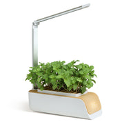 "GrowGlow: Smart Hydroponic Indoor Herb Garden Kit"**Product Description:** 


 
 
 


 Bring the joy of gardening indoors with the 
 
 **GrowGlow:
 
  Smart Hydroponic Indoor Herb Garden Kit**. This multifunctional ZIP UP EXPRESSGardenSmart Hydroponic Indoor Herb Garden Kit"