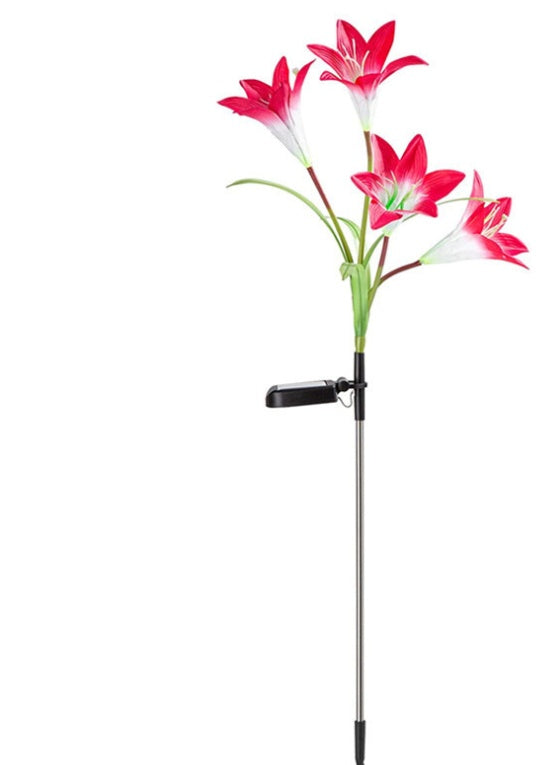 "BloomBright: Solar Lily Flower LED Garden Lights"Product Description:


 
 
 

Add a vibrant, enchanting touch to your outdoor space with the BloomBright: Solar Lily Flower LED Garden Lights. These stunning solar-pZIP UP EXPRESSGardenSolar Lily Flower LED Garden Lights"