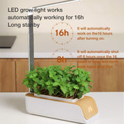 "GrowGlow: Smart Hydroponic Indoor Herb Garden Kit"**Product Description:** 


 
 
 


 Bring the joy of gardening indoors with the 
 
 **GrowGlow:
 
  Smart Hydroponic Indoor Herb Garden Kit**. This multifunctional ZIP UP EXPRESSGardenSmart Hydroponic Indoor Herb Garden Kit"