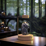 Cosmic DinoGlow Crystal Ball Night LightDESCRIPTION: 
 


 


 Step into a magical world with the Cosmic
 
 DinoGlow Crystal Ball Night Light! 
 
 This enchanting bedside lamp combines the mystery of the cZIP UP EXPRESSLightCosmic DinoGlow Crystal Ball Night Light