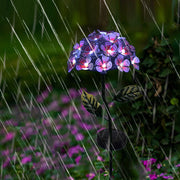 SolarBloom Hydrangea LED Garden Lights