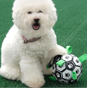 Interactive Soccer Brain Game for DogsSmart Soccer Ball Challenges and Entertains DogsYour dog will have a ball with this ingenious interactive soccer toy!Designed for dogs, this durable rubber soccer baZIP UP EXPRESSInteractive Soccer Brain Game