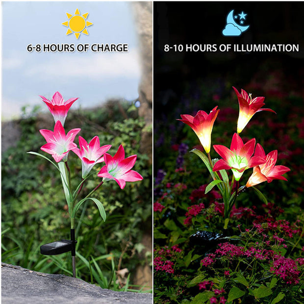 "BloomBright: Solar Lily Flower LED Garden Lights"Product Description:


 
 
 

Add a vibrant, enchanting touch to your outdoor space with the BloomBright: Solar Lily Flower LED Garden Lights. These stunning solar-pZIP UP EXPRESSGardenSolar Lily Flower LED Garden Lights"