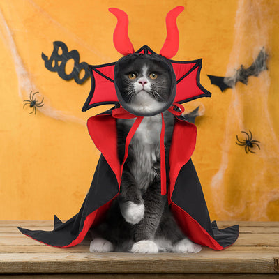 "SpookyPaws: Halloween Pet Vampire Cloak & Hat Suit"Product Description:


 
 
 


 Transform your furry friend into a little vampire this Halloween with the
 SpookyPaws: 


 

Halloween Pet Vampire Cloak &amp; Hat SuZIP UP EXPRESSConsumer productsHalloween Pet Vampire Cloak & Hat Suit"